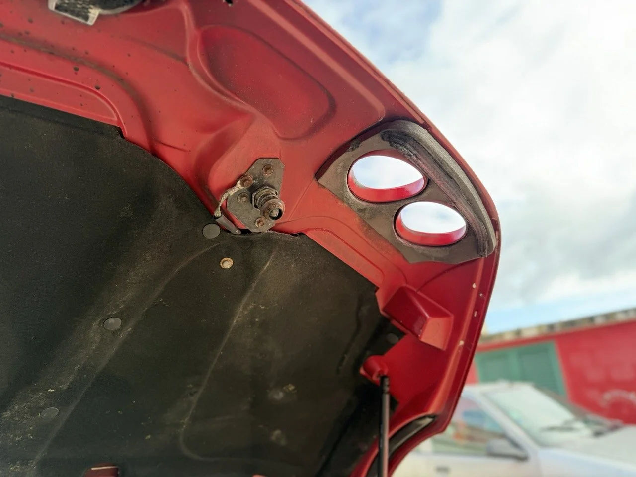 IMG_2266 – grande.jpeg