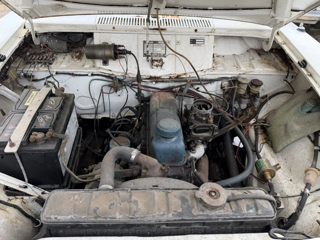 IMG_1913 – grande.jpeg