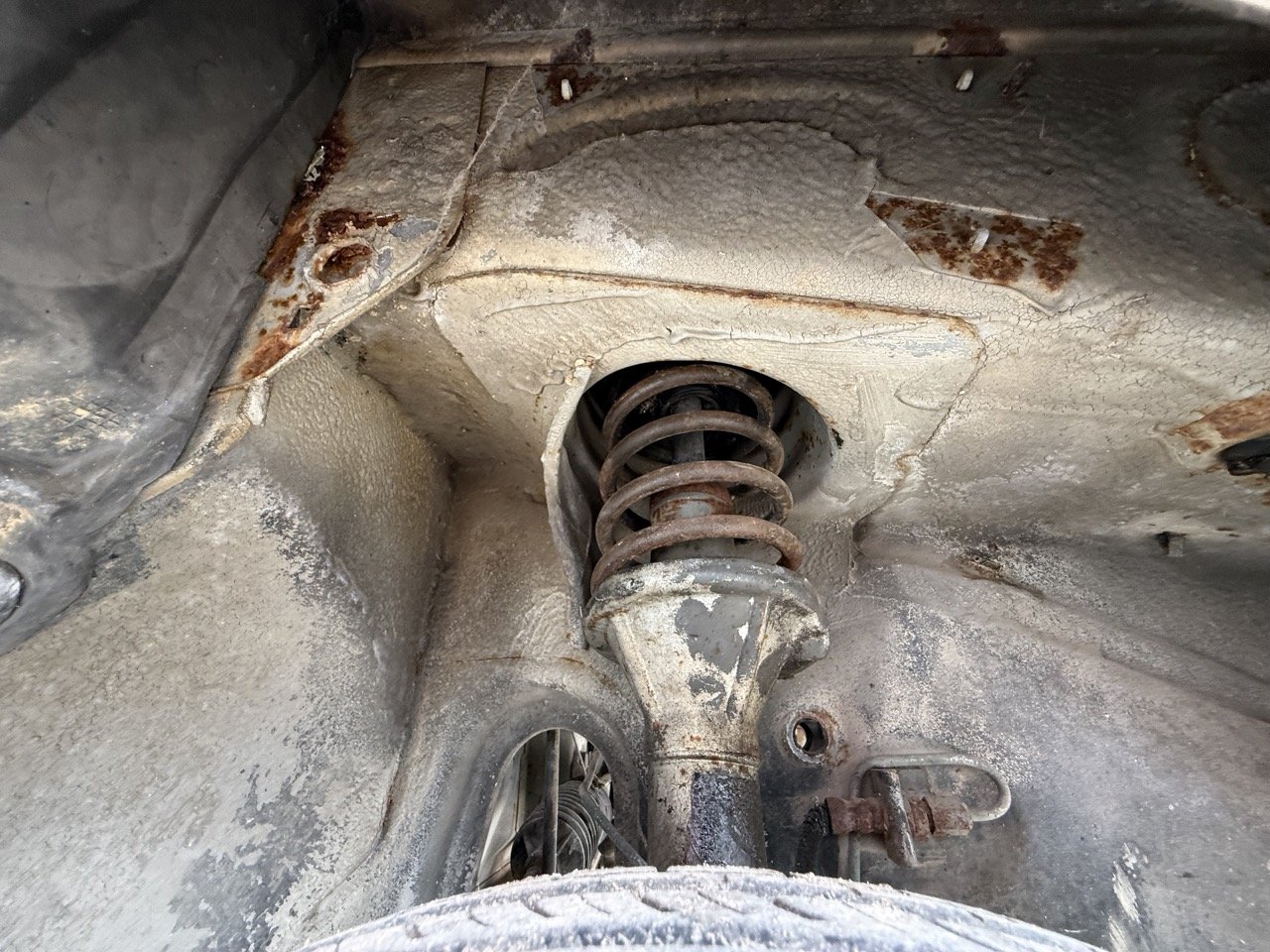 IMG_8647 – grande.jpeg