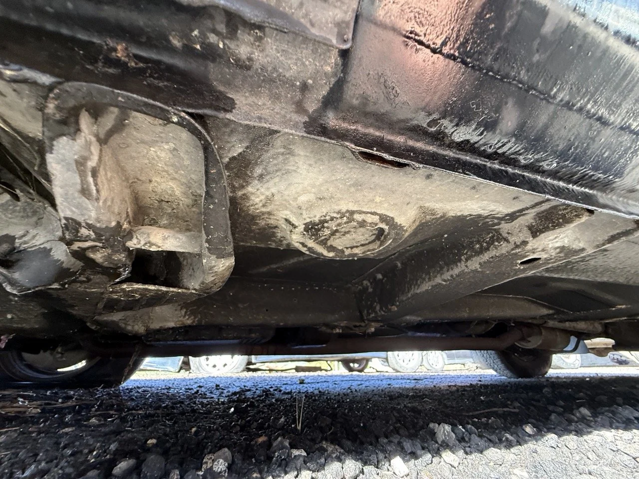 IMG_1221 – grande.jpeg