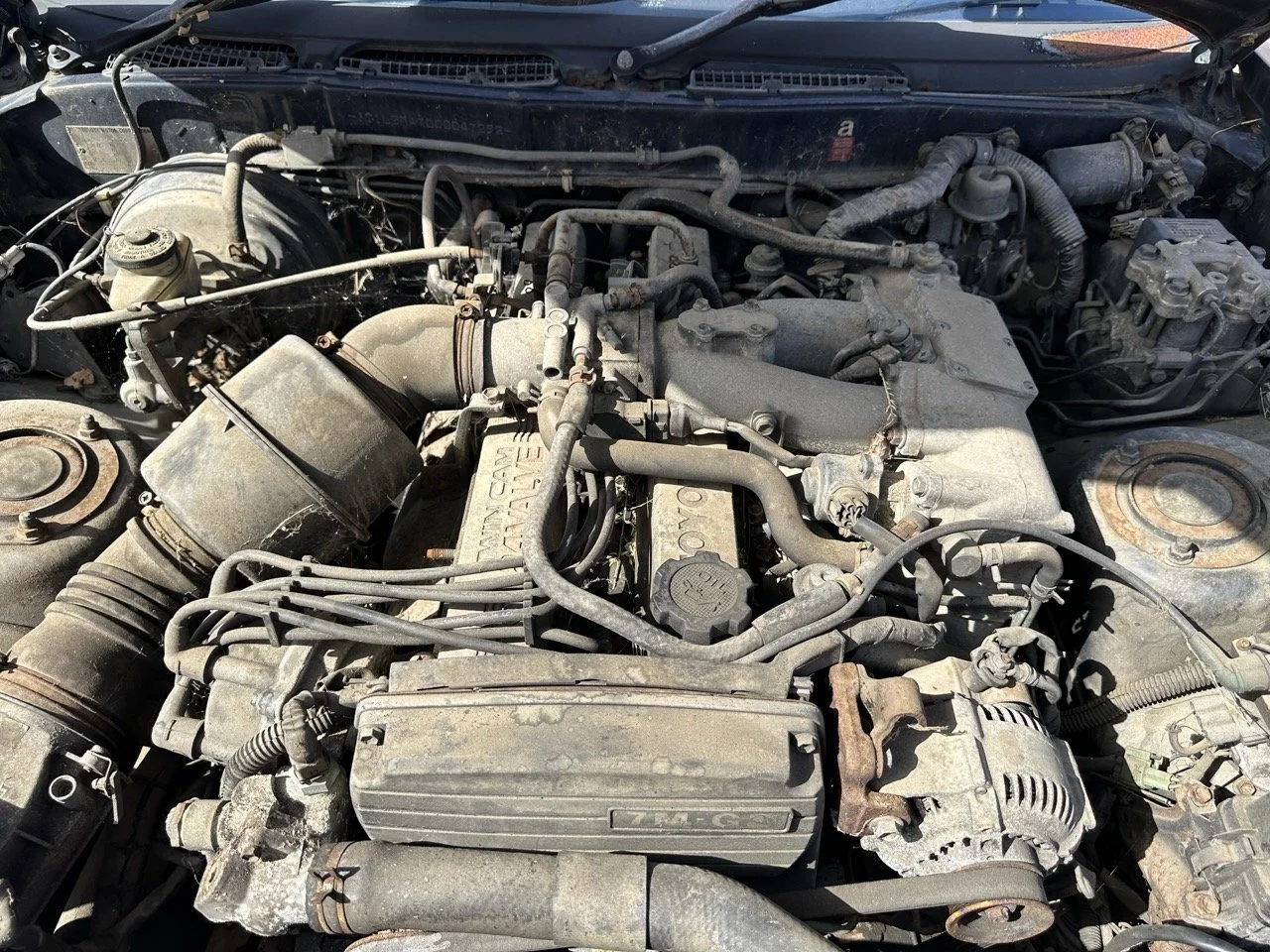 IMG_7206 – grande.jpeg