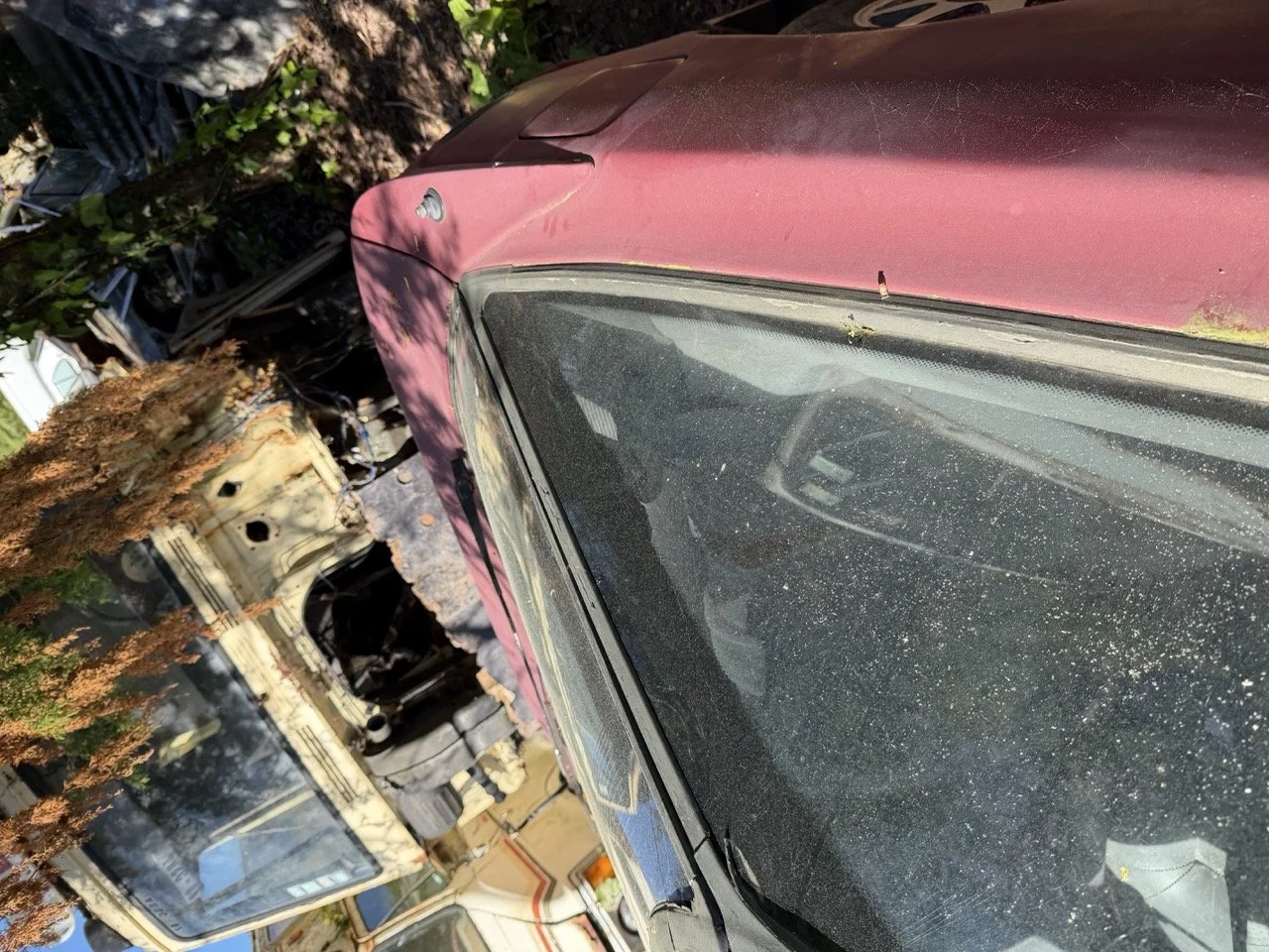 IMG_7638 – grande.jpeg