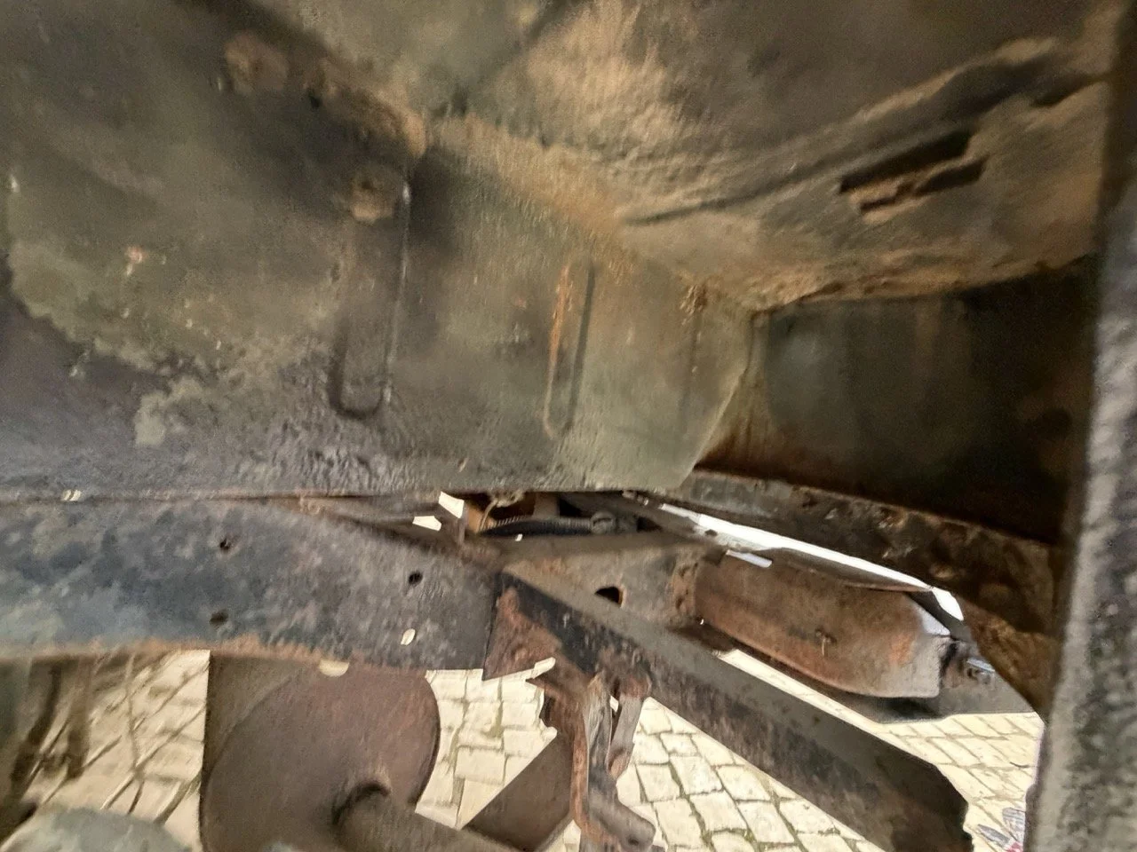 IMG_6532 – grande.jpeg