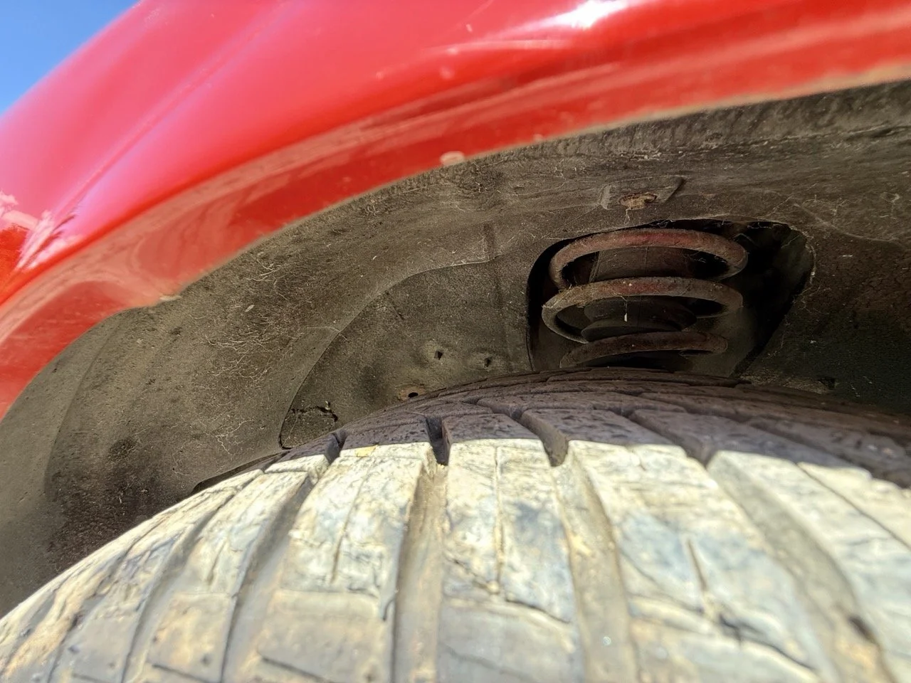 IMG_2112 – grande.jpeg