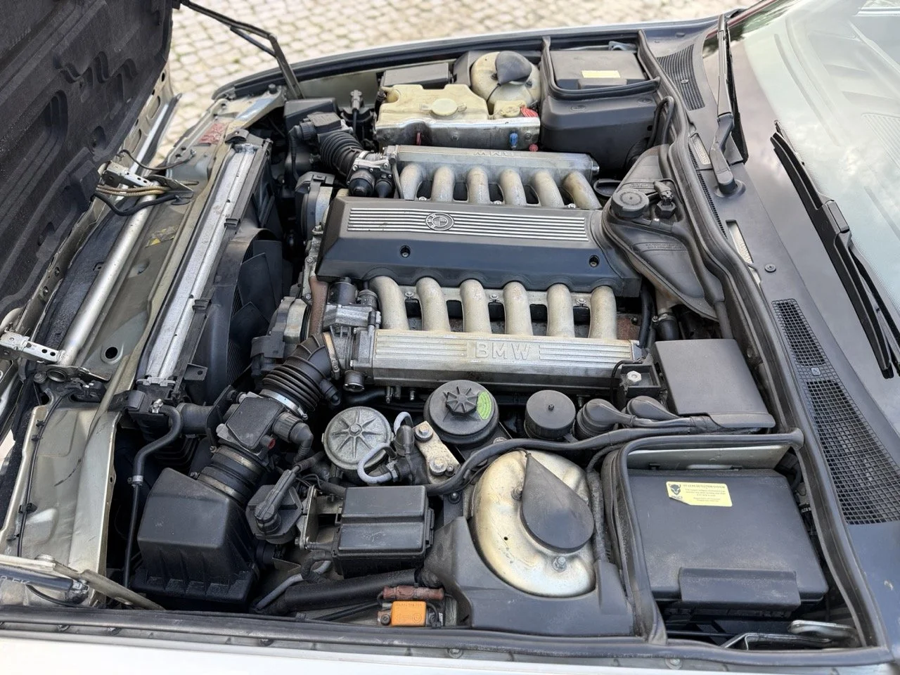 IMG_6966 2 – grande.jpeg