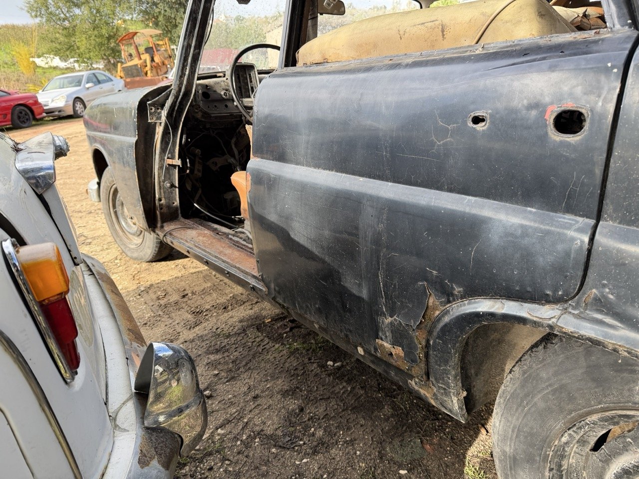 IMG_5233 – grande.jpeg