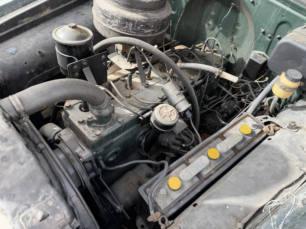 IMG_1794 – grande.jpeg