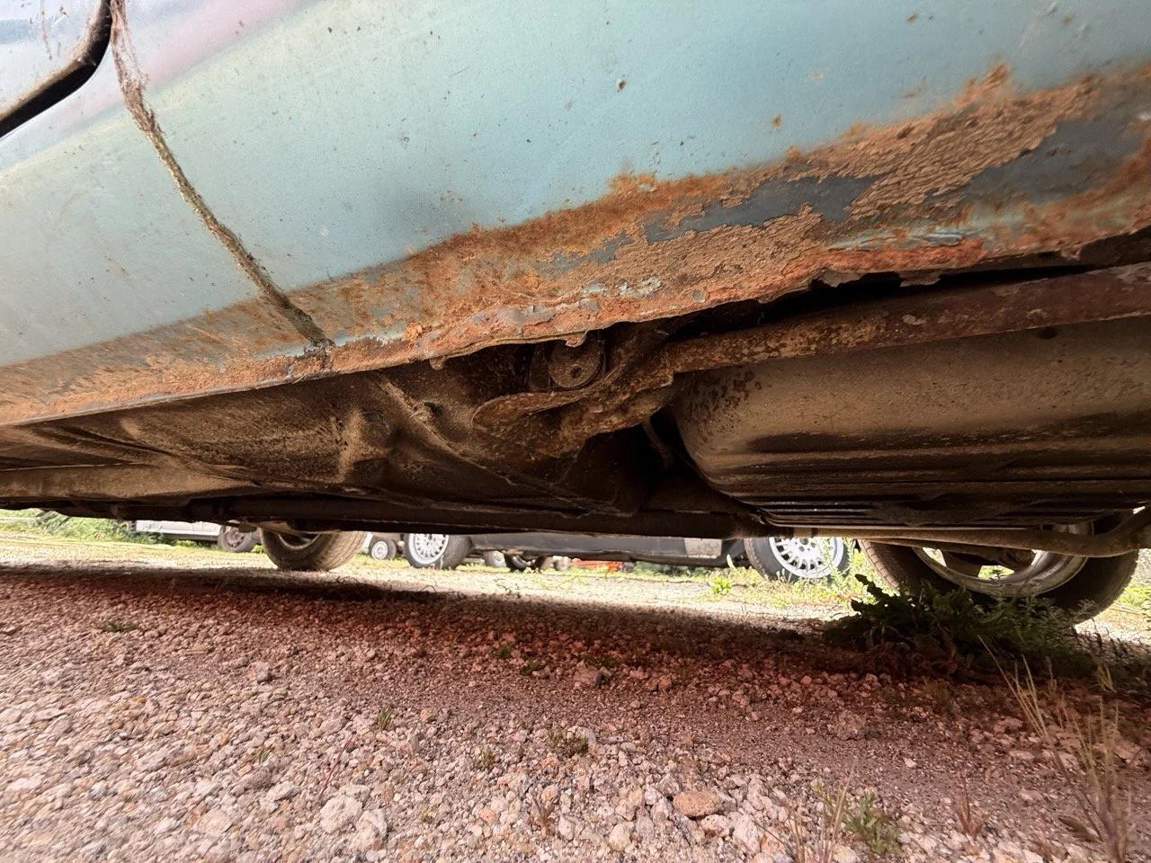 IMG_1565 – grande.jpeg