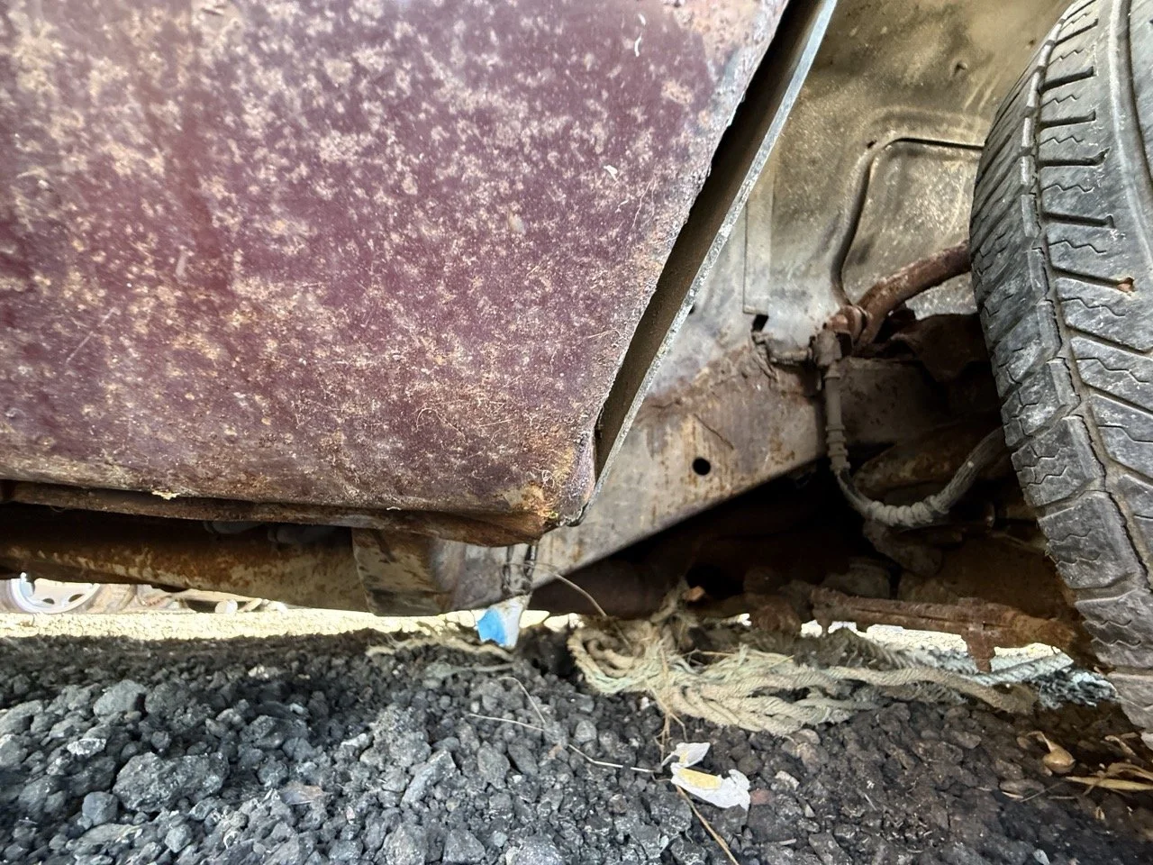 IMG_3059 – grande.jpeg