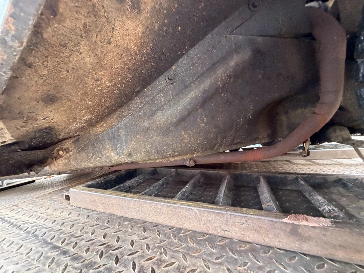 IMG_1901 – grande.jpeg