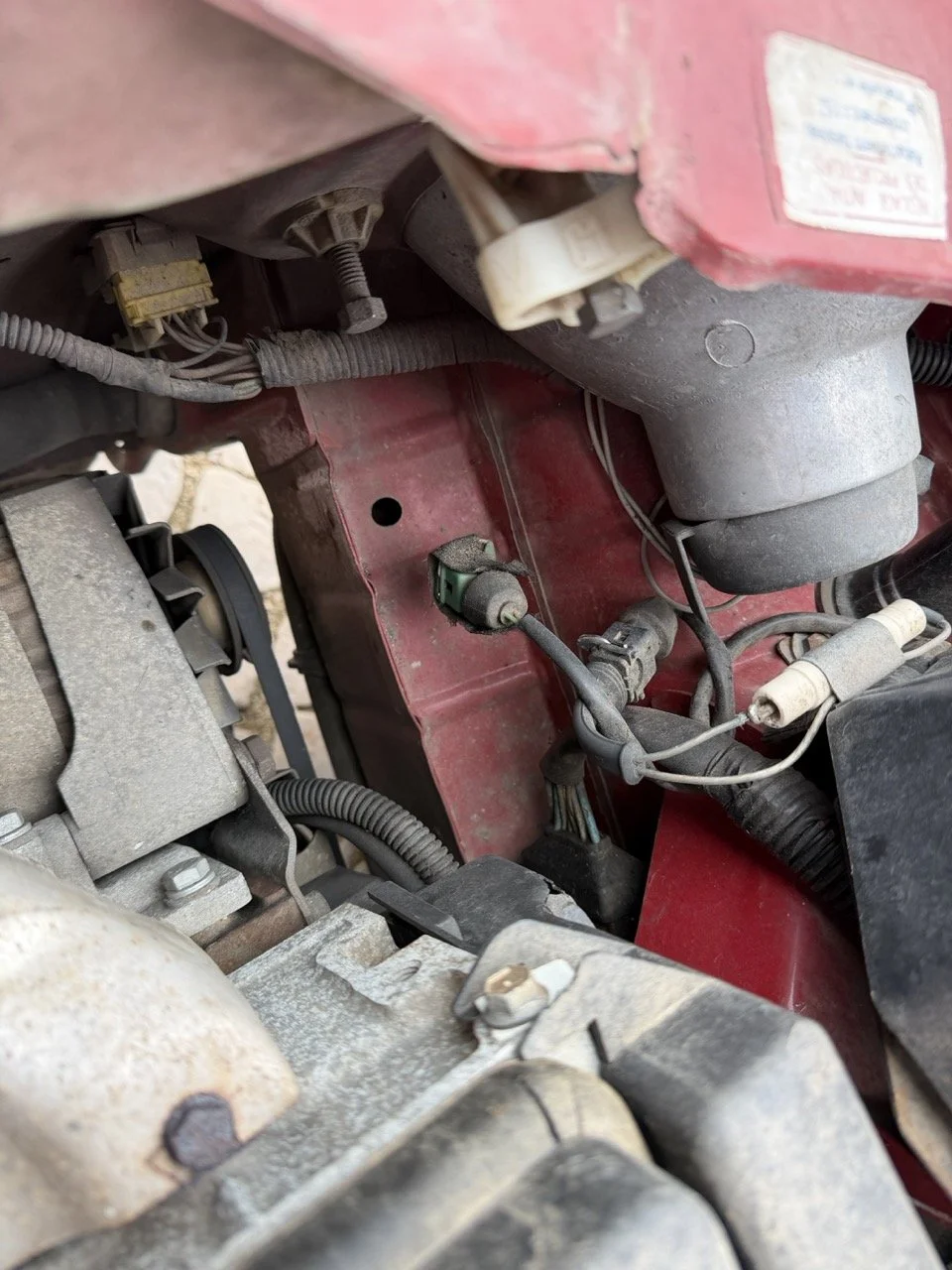 IMG_3606 – grande.jpeg