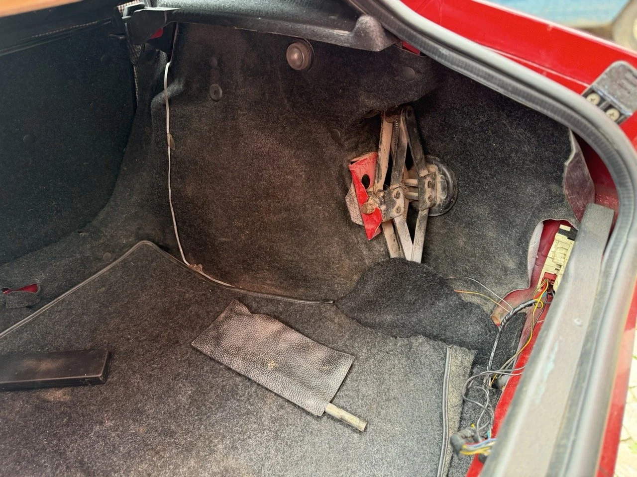 IMG_3493 – grande.jpeg