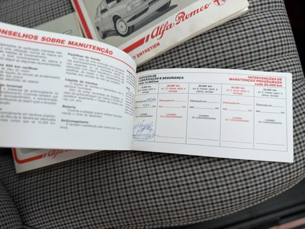 IMG_3442 – grande.jpeg