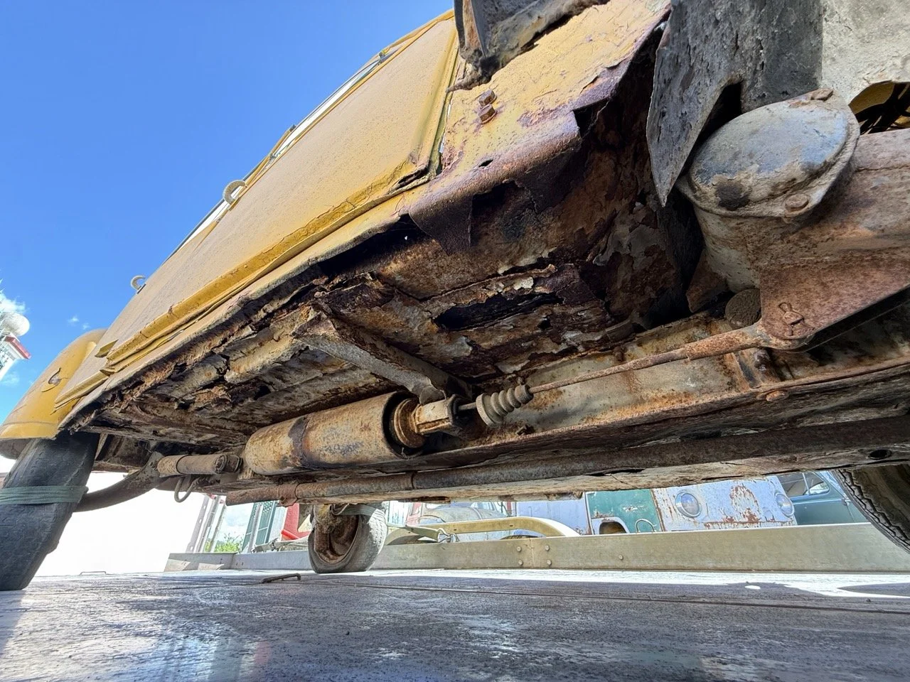 IMG_9137 – grande.jpeg