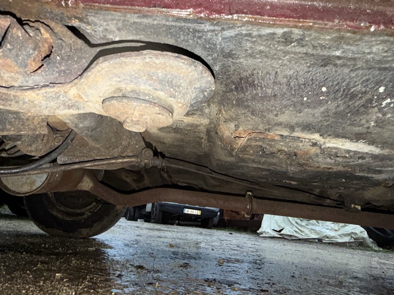 IMG_0302 – grande.jpeg