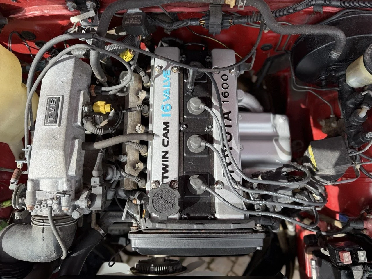 IMG_2350 – grande.jpeg