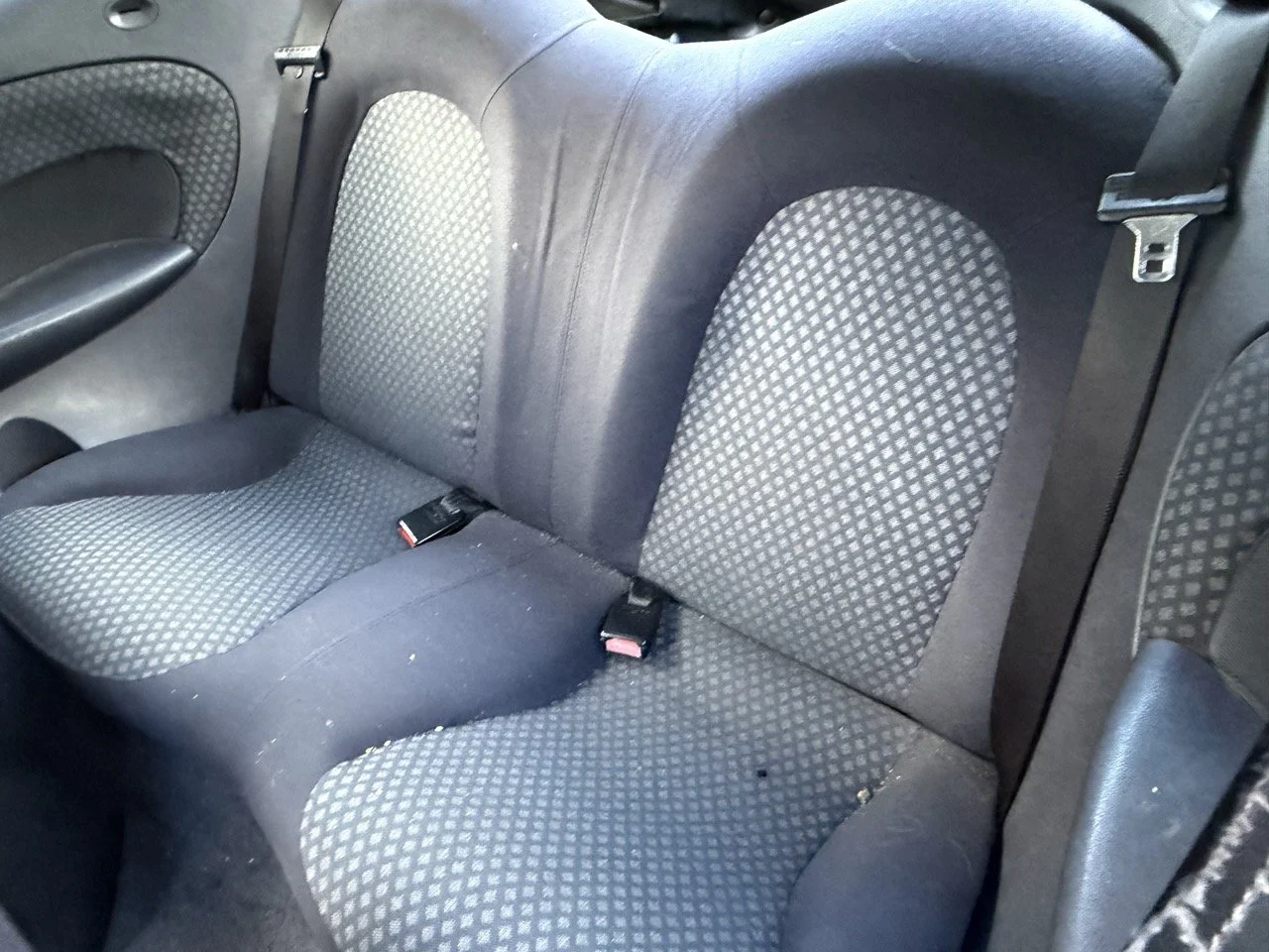 IMG_5309 – grande.jpeg