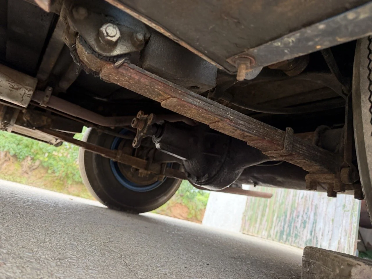 IMG_1564 – grande.jpeg