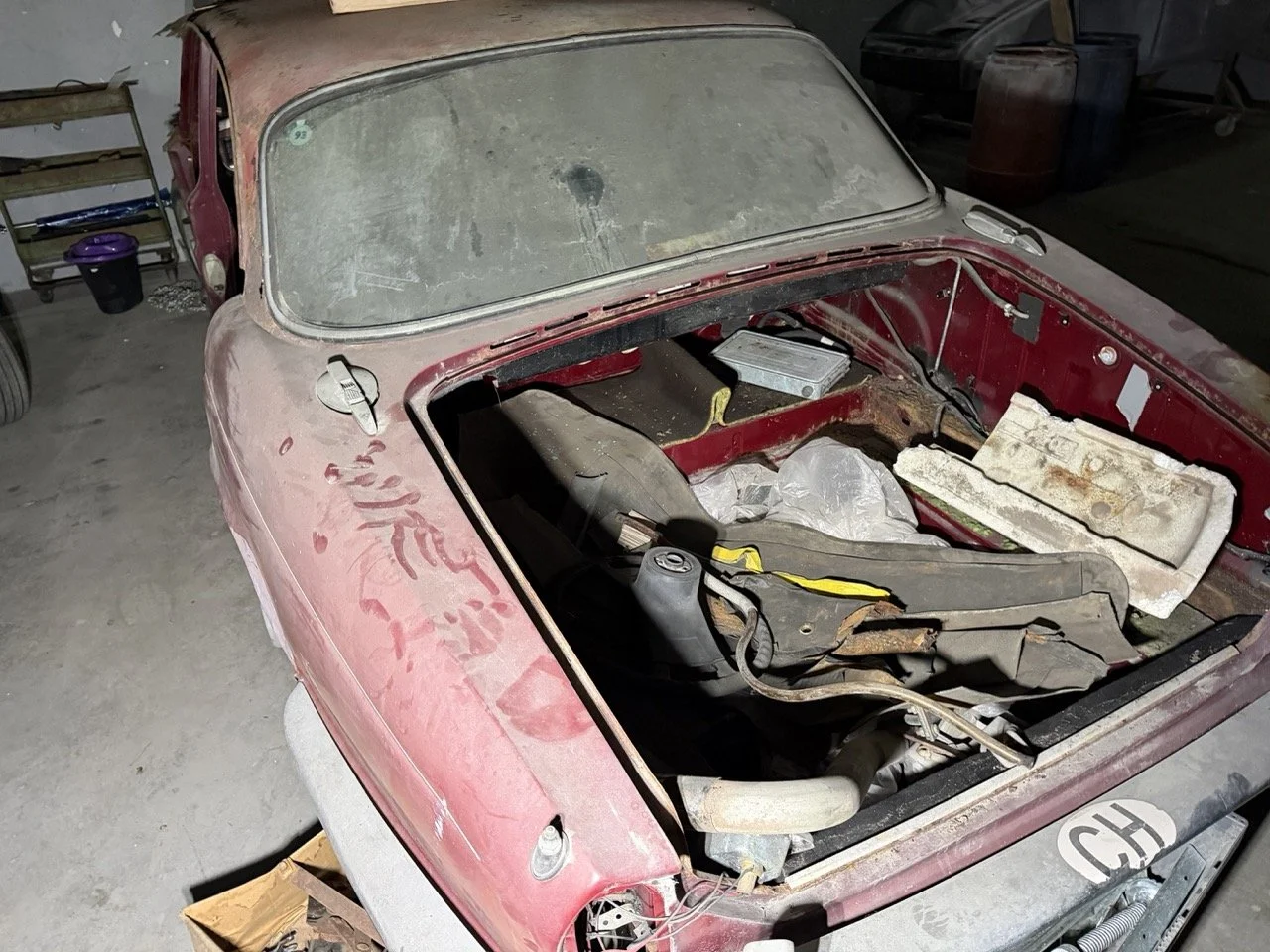 IMG_4233 – grande.jpeg