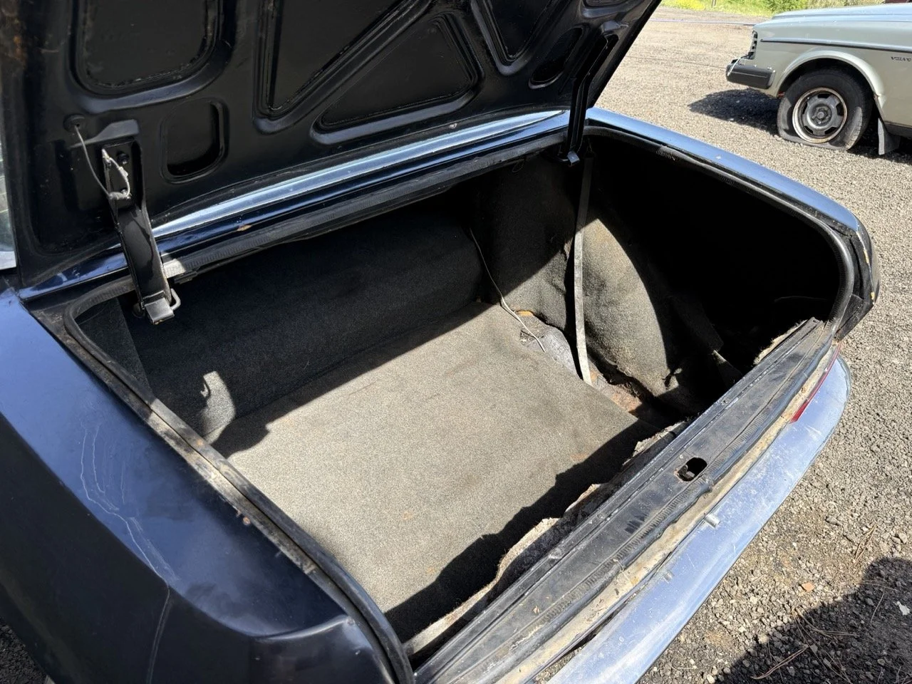 IMG_0566 – grande.jpeg