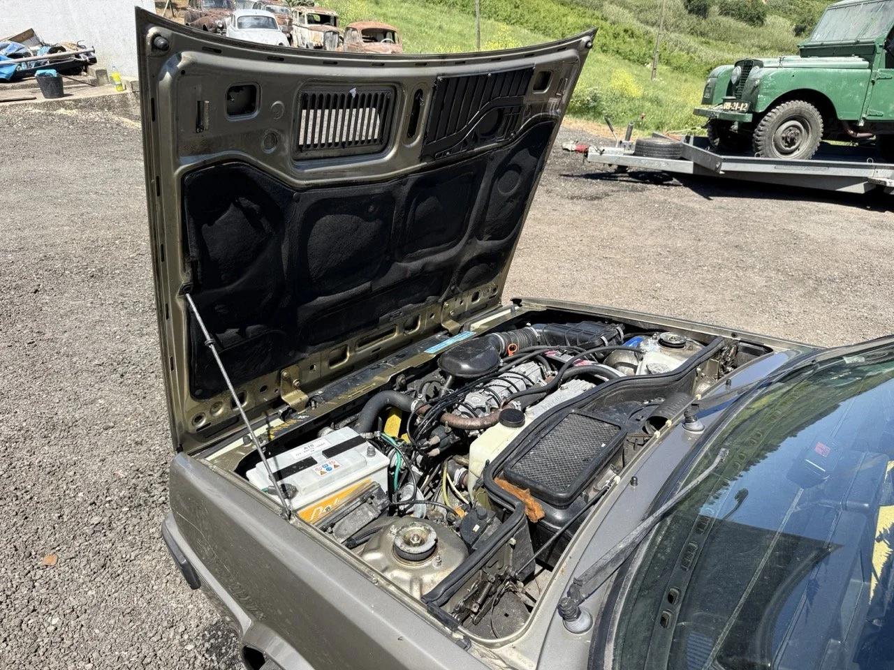 IMG_1895 – grande.jpeg