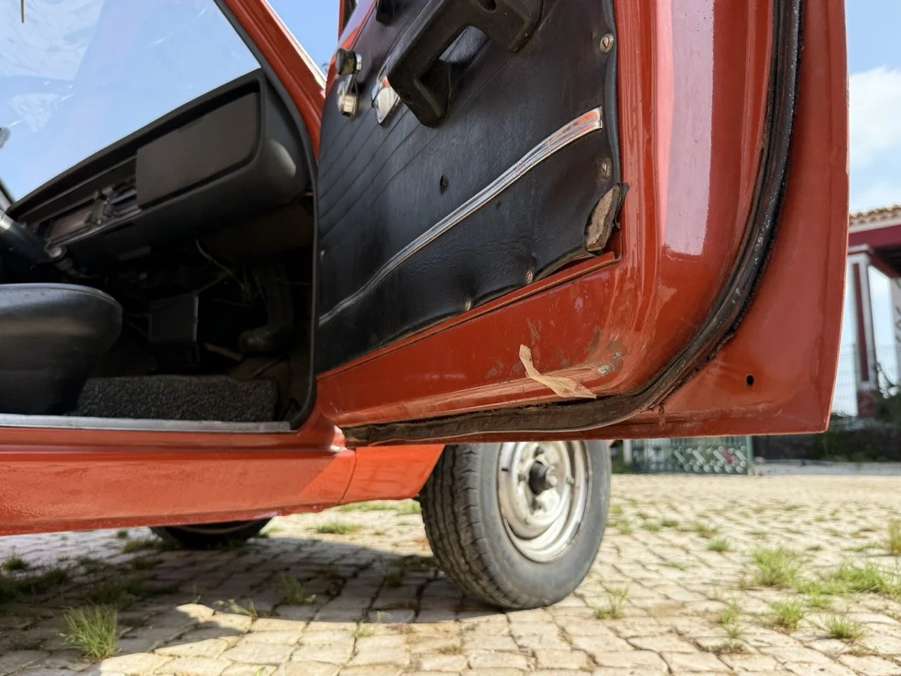 IMG_3656 – grande.jpeg