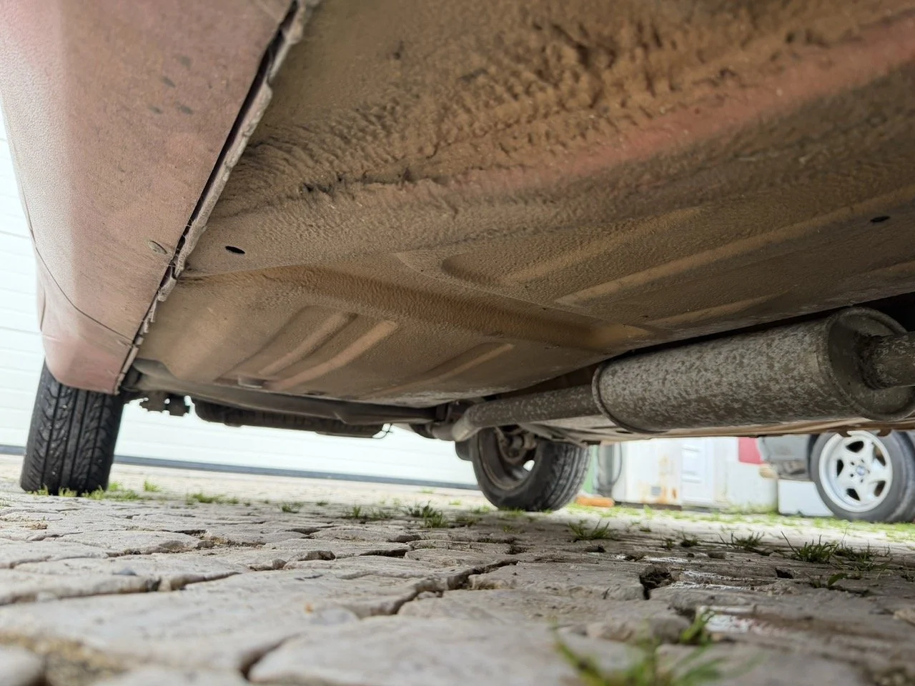 IMG_0470 – grande.jpeg