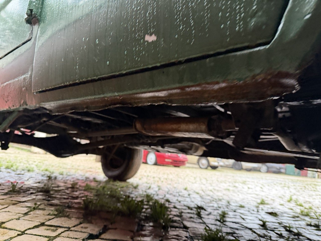 IMG_9962 – grande.jpeg