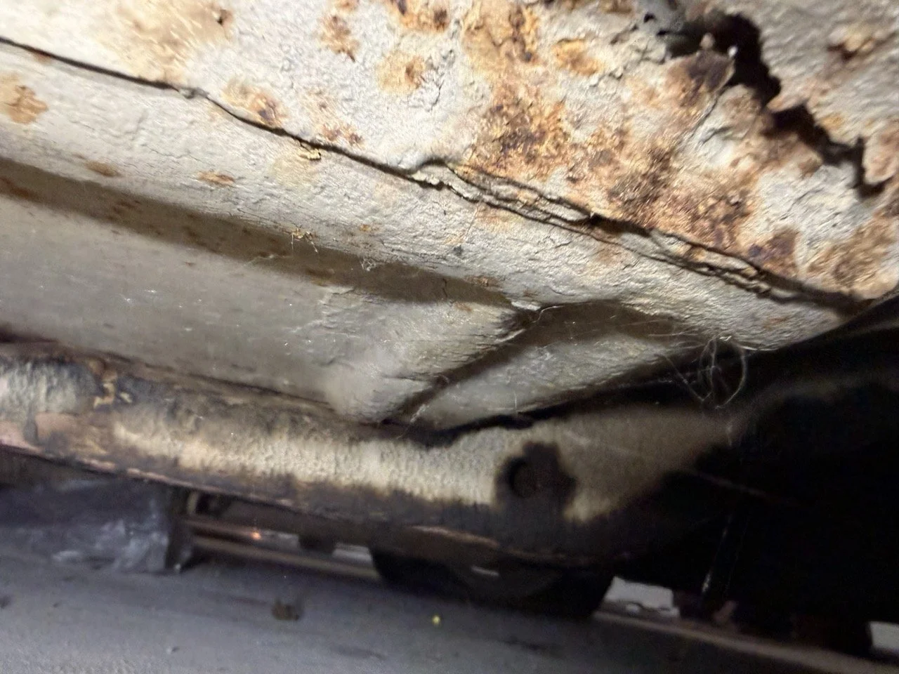 IMG_7117 – grande.jpeg