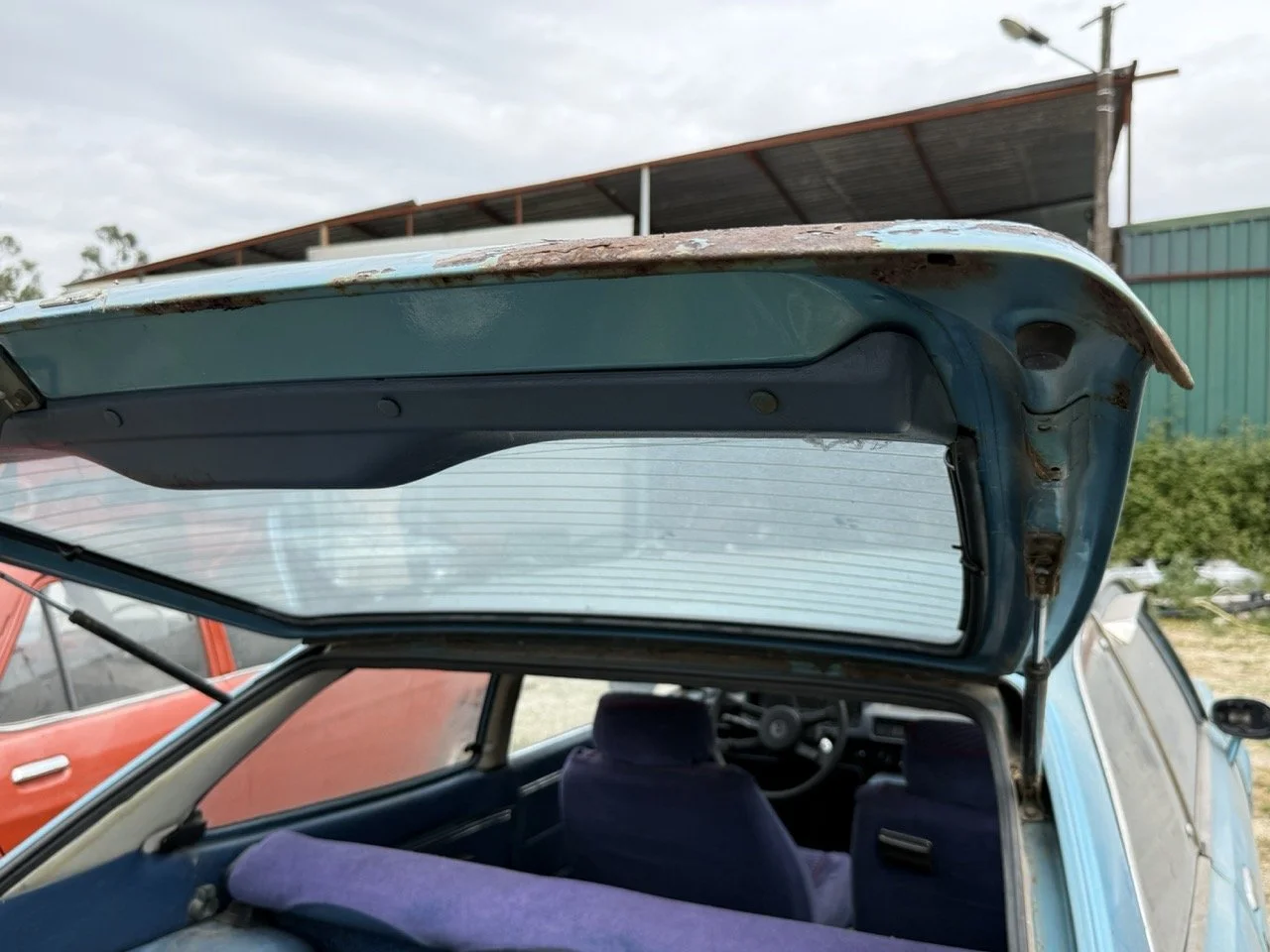 IMG_1537 – grande.jpeg