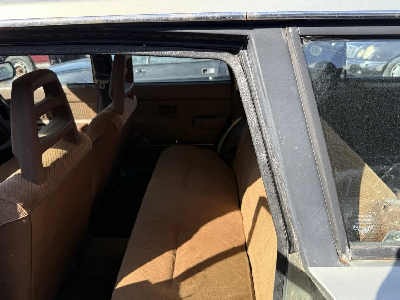 IMG_1184 – grande.jpeg