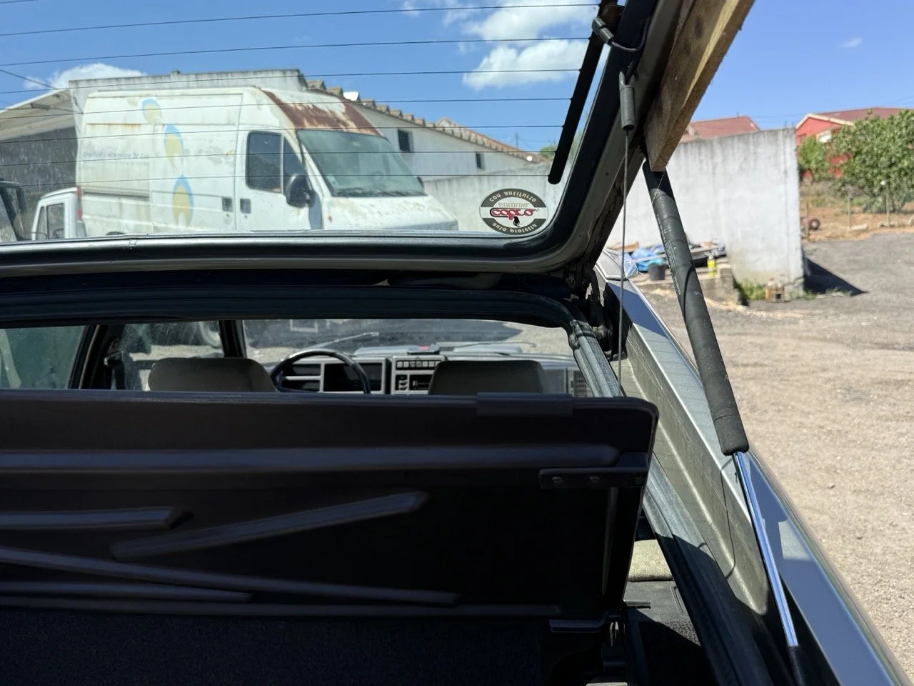 IMG_1926 – grande.jpeg