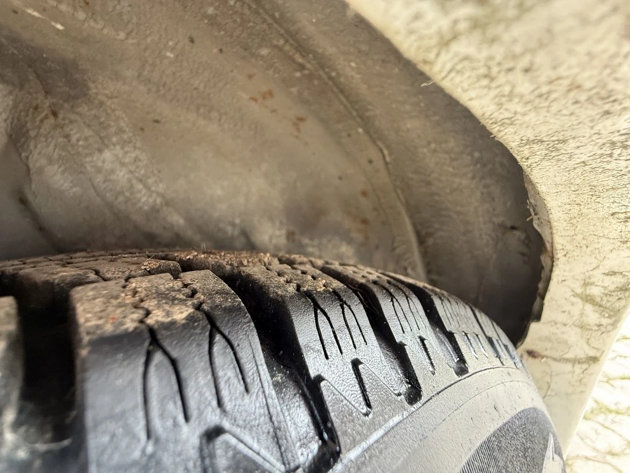 IMG_8660 – grande.jpeg