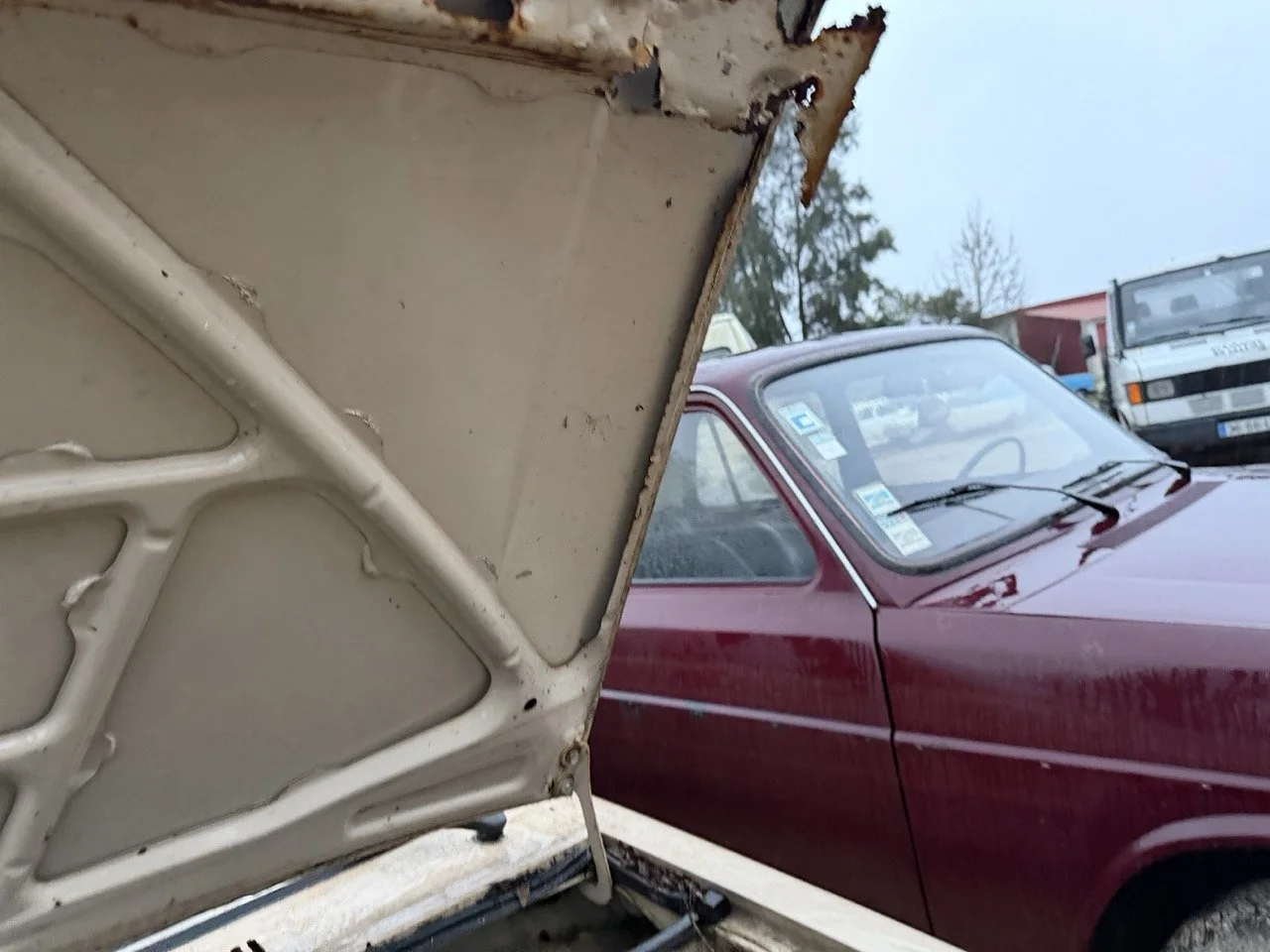 IMG_0251 – grande.jpeg