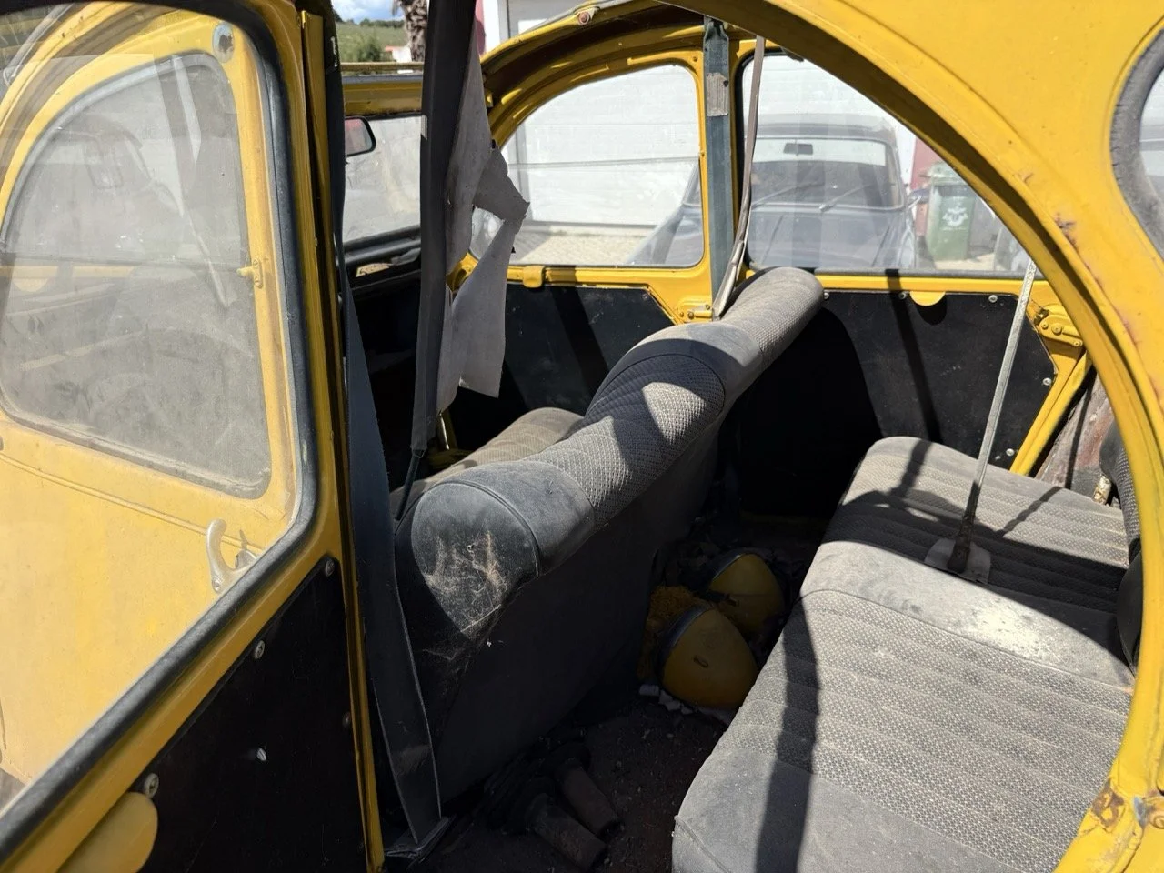 IMG_9103 – grande.jpeg