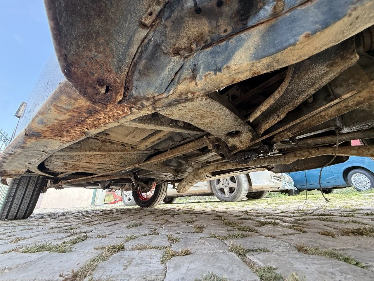 IMG_3746 – grande.jpeg