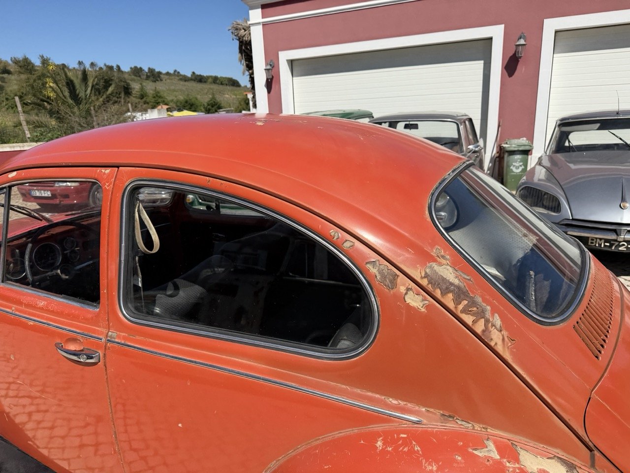 IMG_7578 – grande.jpeg