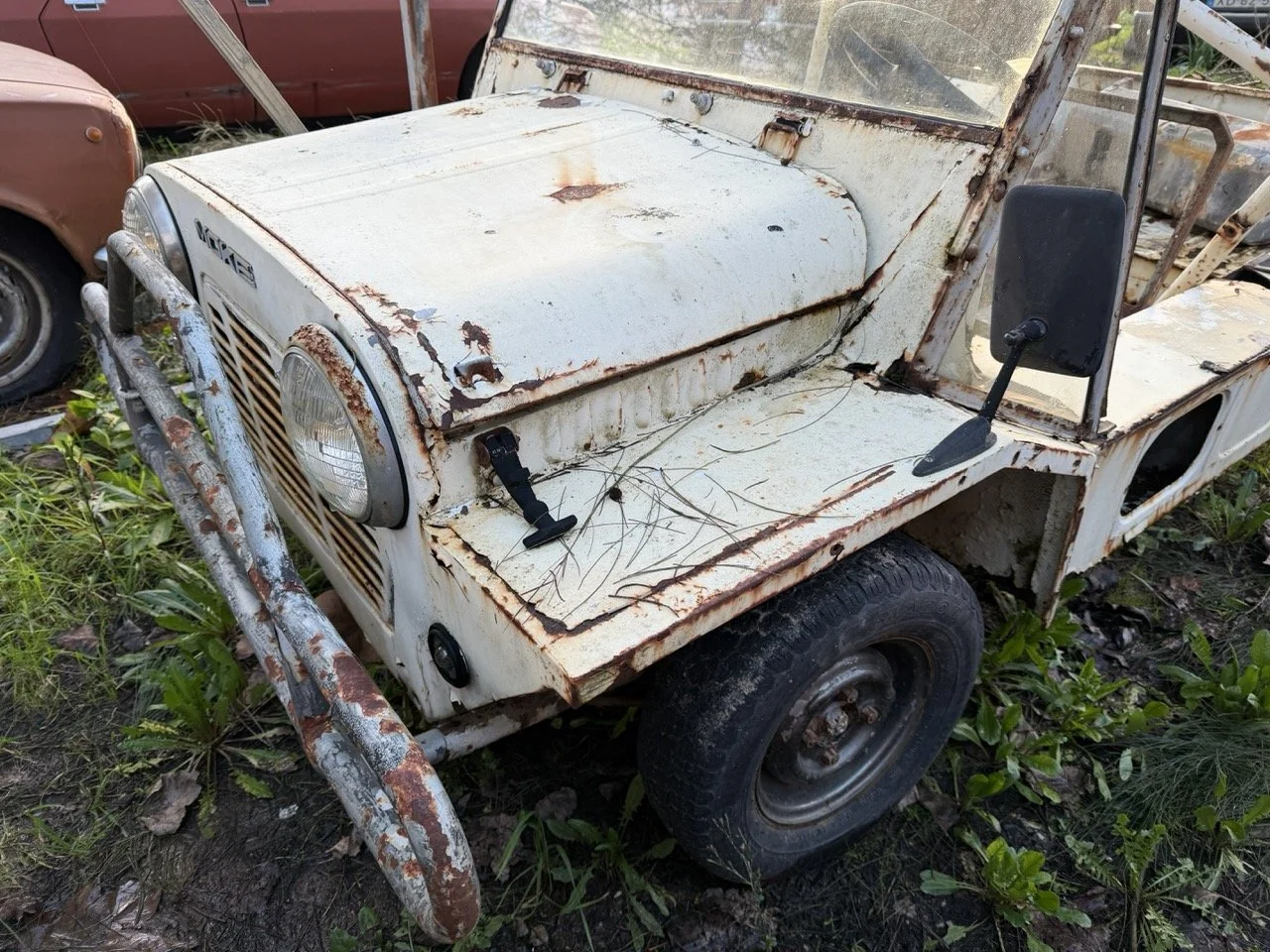 IMG_0884 – grande.jpeg