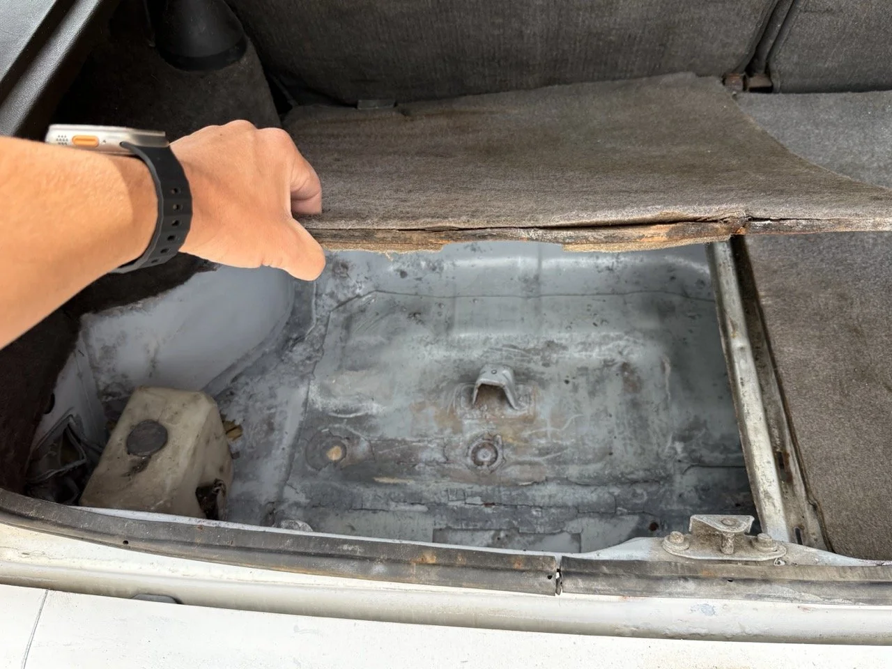 IMG_8579 – grande.jpeg