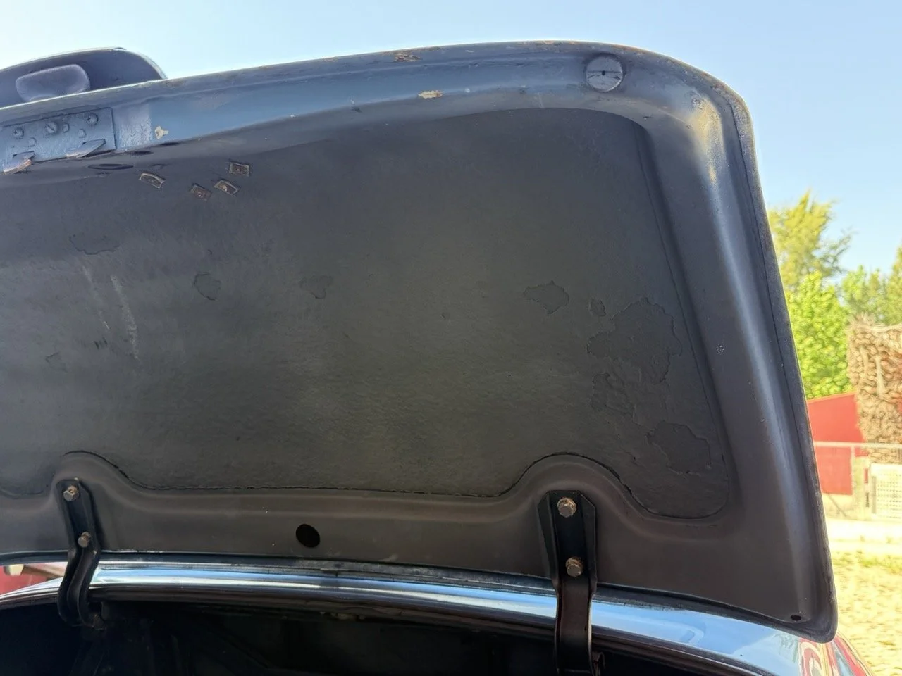 IMG_3536 – grande.jpeg