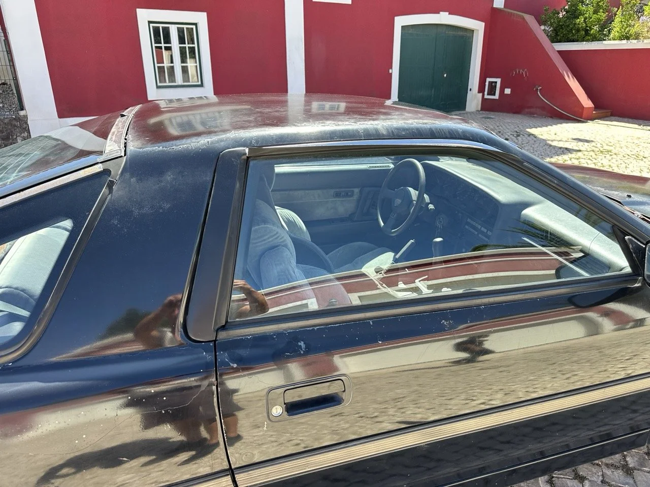 IMG_3155 – grande.jpeg