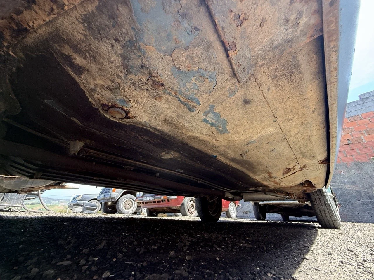 IMG_0804 – grande.jpeg