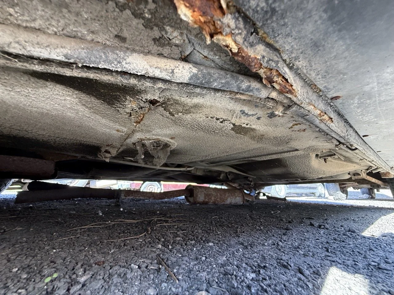 IMG_2947 – grande.jpeg