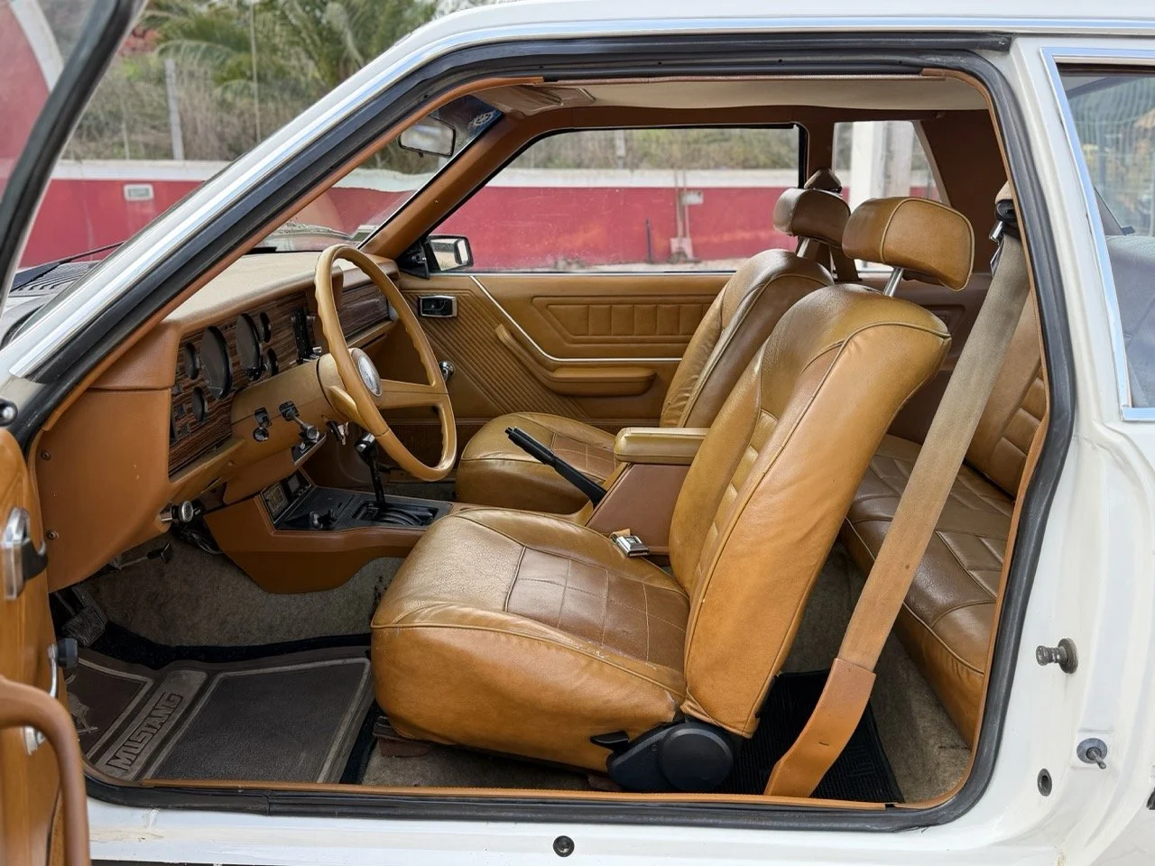 IMG_4161 – grande.jpeg