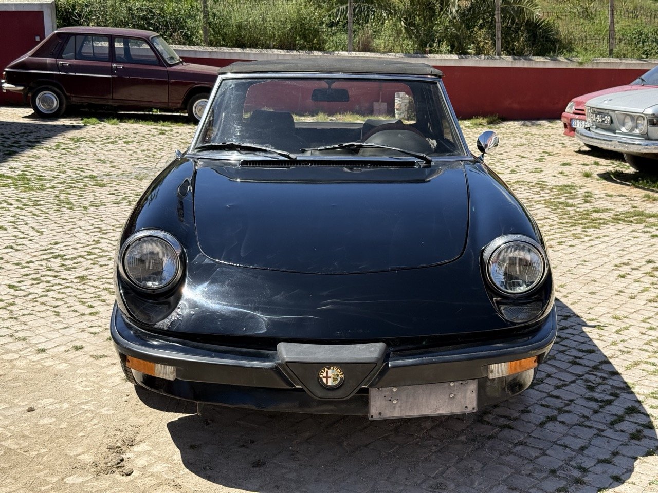 IMG_2131 – grande.jpeg