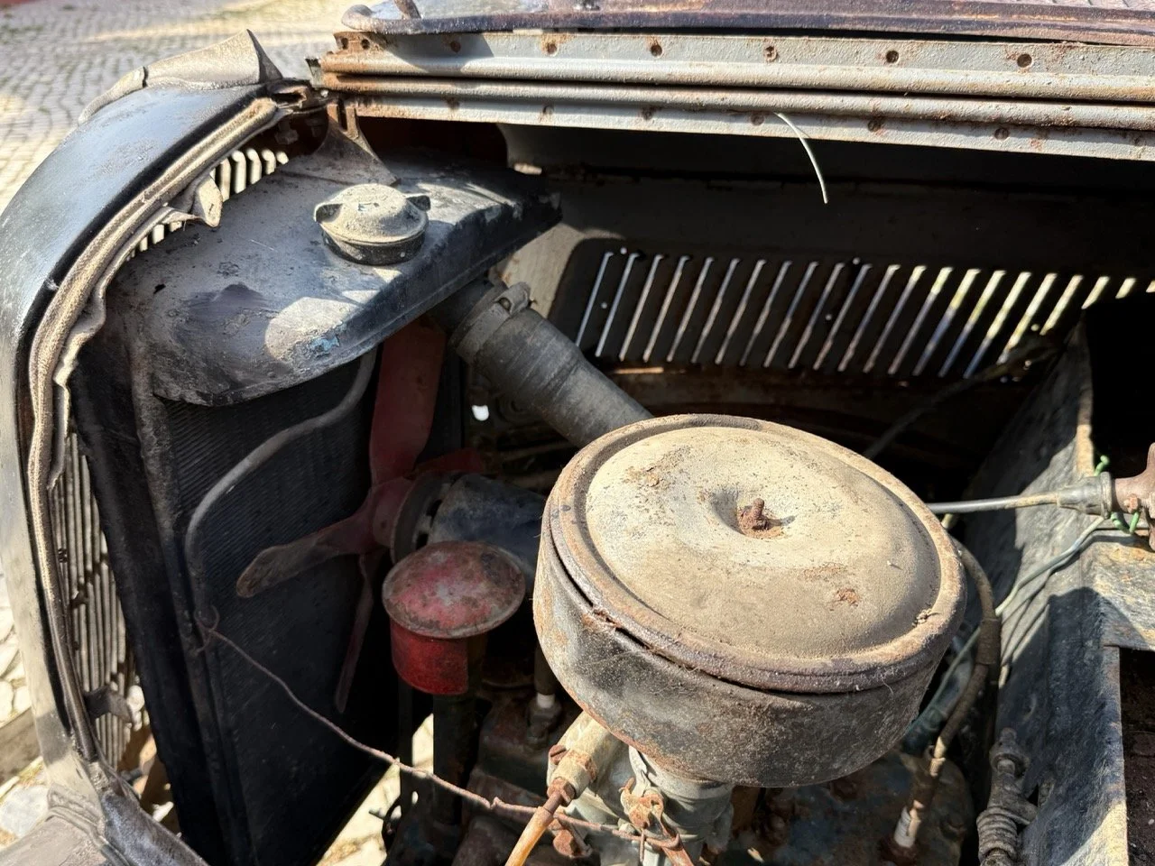 IMG_3704 – grande.jpeg