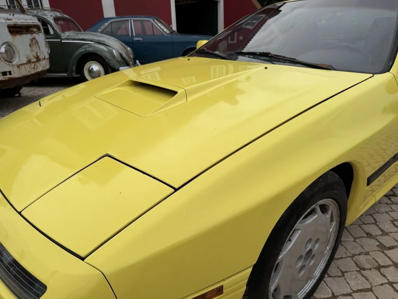 IMG_9797 – grande.jpeg