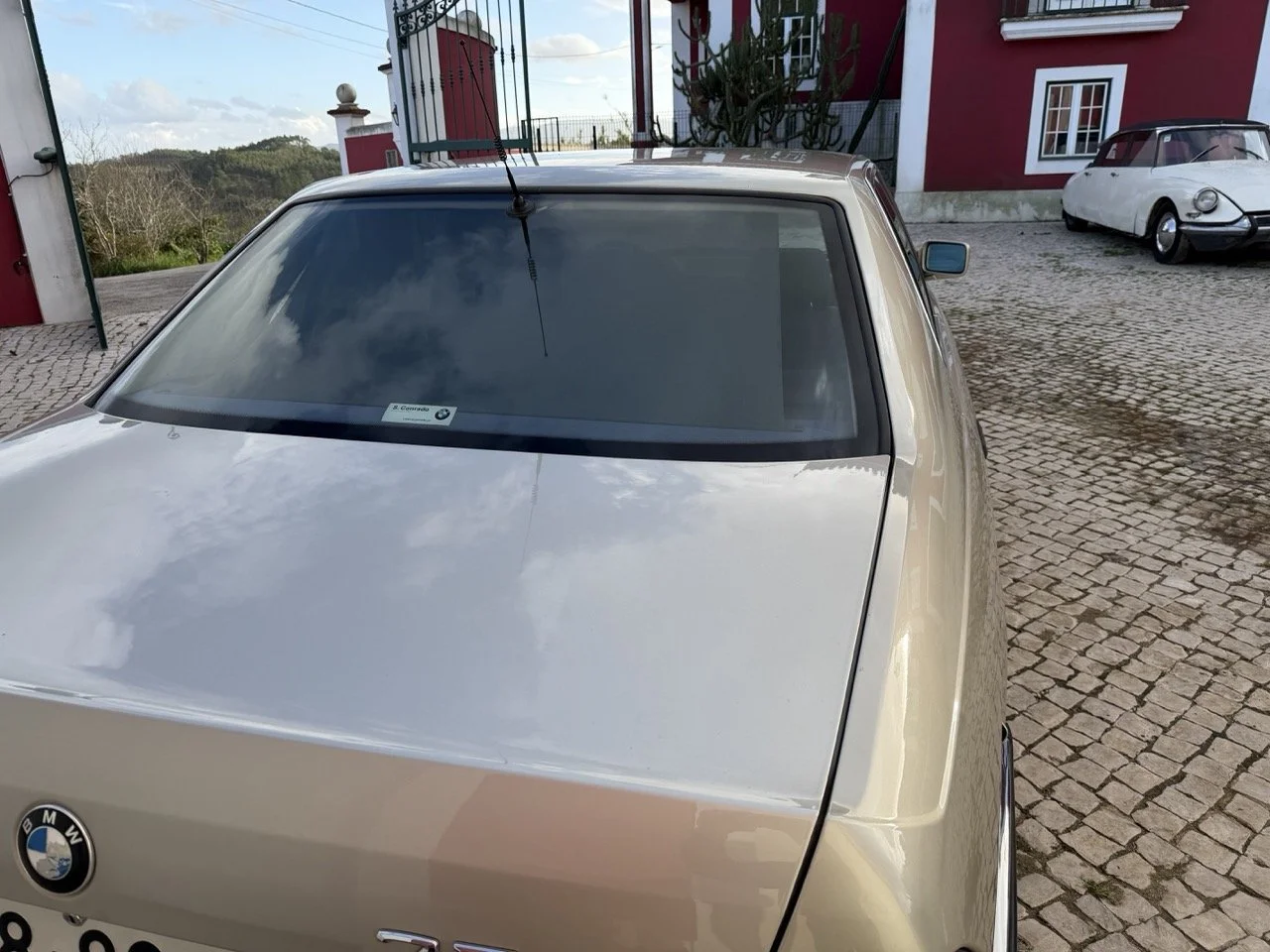 IMG_7003 2 – grande.jpeg