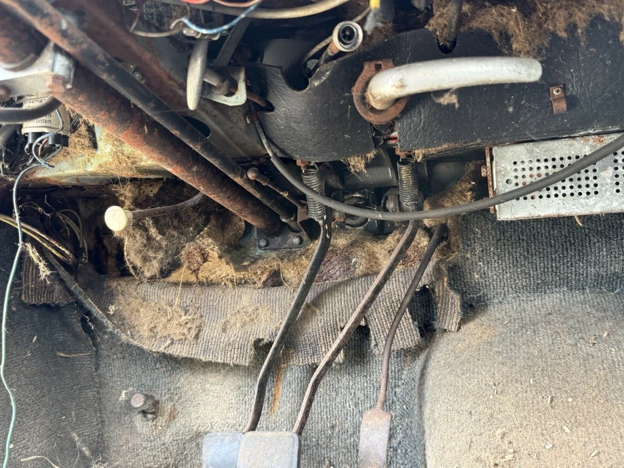 IMG_1389 – grande.jpeg