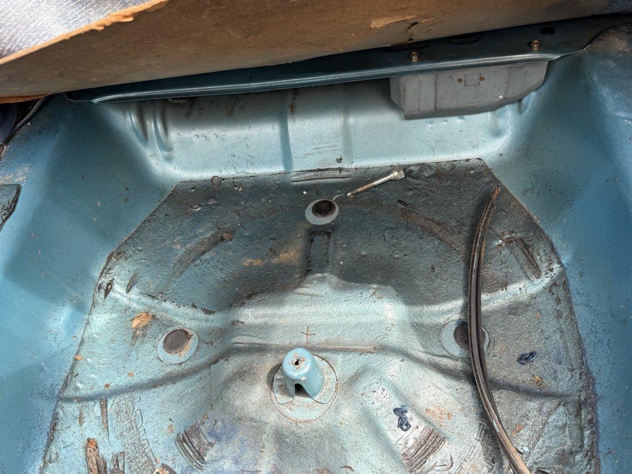 IMG_1533 – grande.jpeg